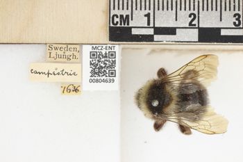 Media type: image;   Entomology 804639 Aspect: labels